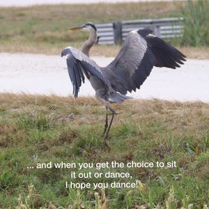 Meet your Posher, Norma